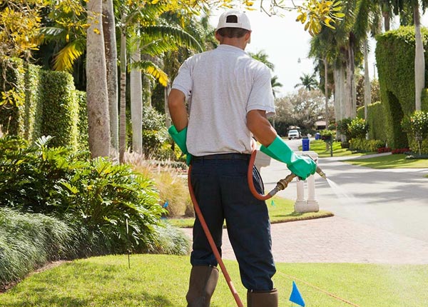 About Deanville TX Pest Control